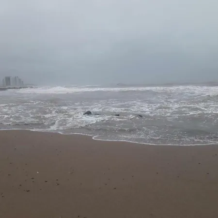 El Emir Punta Del Este